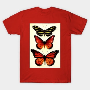 Zebra and Milkweed Butterflies, 1904 T-Shirt